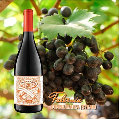 Hình ảnh của Rượu Vang Chile DONNA MARIA