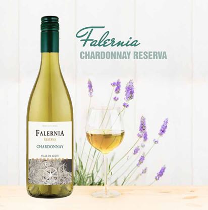 Hình ảnh của Vang Falernia Chardonnay Reserva