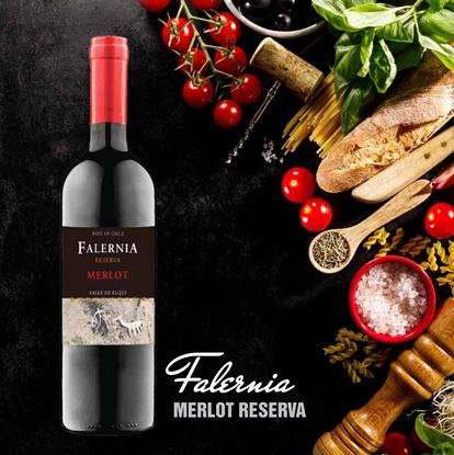 Hình ảnh của CL5 Vang Falernia Merlot Reserva