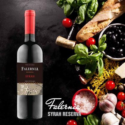 Hình ảnh của CL6 Falernia Syrah Reserva